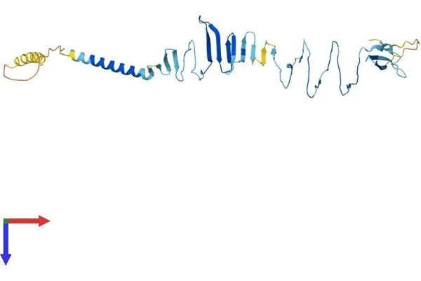SGCZ Protein (AA 1-311) (His tag)