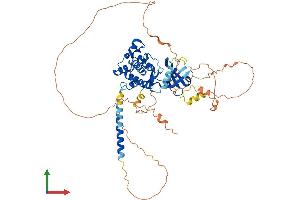 Protein Structure (PS) image for WEE1 Homolog 2 (S. Pombe) (WEE2) (AA 1-567) protein (His tag) (ABIN7556051)