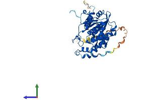 Protein Structure (PS) image for UDP-GlcNAc:betaGal beta-1,3-N-Acetylglucosaminyltransferase 3 (B3GNT3) (AA 1-372) protein (His tag) (ABIN7552505)
