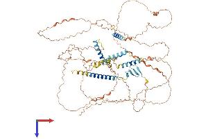 HJURP Protein (AA 1-748) (His tag)