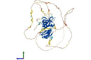 Protein Structure (PS) image for SH3-Domain Binding Protein 2 (SH3BP2) (AA 1-559) protein (His tag) (ABIN7556905)