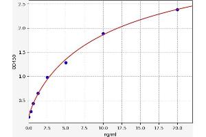 Typical standard curve (APEX1 ELISA Kit)