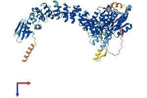 PLA2G6 Protein (AA 1-807) (His tag)