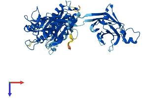 Copine III Protein (CPNE3) (AA 1-533) (His tag)