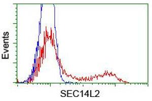 Image no. 3 for anti-SEC14-Like 2 (SEC14L2) antibody (ABIN1500852) (SEC14L2 Antikörper)