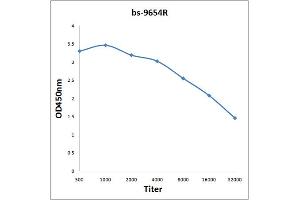 Antigen: 2 µg/100 µL  Primary: Antiserum, 1:500, 1:1000, 1:2000, 1:4000, 1:8000, 1:16000, 1:32000;  Secondary: HRP conjugated Rabbit Anti-Goat IgG at 1: 5000;  TMB staining Read the data in Microplate Reader by 450nm. (14-3-3 Pan Antikörper)