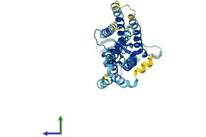 Protein Structure (PS) image for JNK1/MAPK8-Associated Membrane Protein (JKAMP) (AA 1-311) protein (His tag) (ABIN7558669)