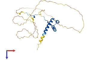 HOXB5 Protein (AA 1-269) (His tag)