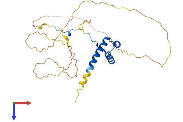 HOXB5 Protein (AA 1-269) (His tag)