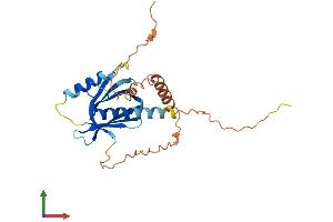 Protein Structure (PS) image for Phosphotyrosine Interaction Domain Containing 1 (PID1) (AA 1-250) protein (His tag) (ABIN7550650)