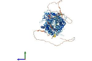 Protein Structure (PS) image for Patched 2 (PTCH2) (AA 1-1203) protein (His tag) (ABIN7555098)