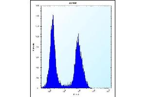 PRSS7 Antibody (C-term ) (ABIN656189 and ABIN2845515) flow cytometric analysis of Jurkat cells (right histogram) compared to a negative control cell (left histogram).