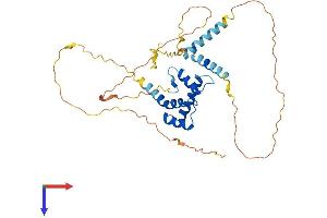 MKX Protein (AA 1-352) (His tag)