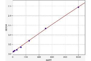Interleukin 13 (IL13) ELISA Kit