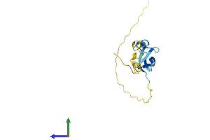 Protein Structure (PS) image for LIM Domain Containing 2 (LIMD2) (AA 1-128) protein (His tag) (ABIN7558541)