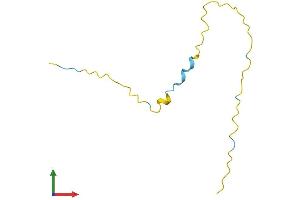 Protein Structure (PS) image for High Mobility Group Nucleosome Binding Domain 4 (HMGN4) (AA 1-90) protein (Fc Tag) (ABIN7548330)