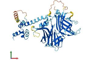 Protein Structure (PS) image for F-Box Protein 15 (FBXO15) (AA 1-433) protein (His tag) (ABIN7561835)