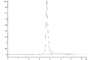 The purity of Biotinylated SARS-COV-2 Spike RBD is greater than 95 % as determined by SEC-HPLC.