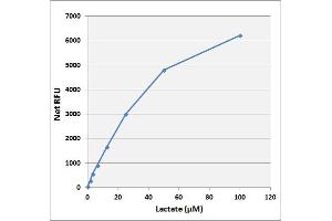Biochemical Assay (BCA) image for Lactate Assay Kit (Fluorometric) (ABIN5067558)