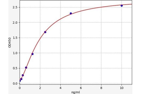 CCKAR ELISA Kit