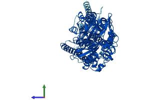 Protein Structure (PS) image for Arachidonate 12-Lipoxygenase (ALOX12) (AA 1-663) protein (His tag) (ABIN7563209)