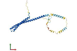 Protein Structure (PS) image for Charged Multivesicular Body Protein 5 (CHMP5) (AA 1-219) protein (His tag) (ABIN7553496)