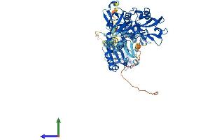 Protein Structure (PS) image for Leishmanolysin-Like (Metallopeptidase M8 Family) (LMLN) (AA 1-681) protein (His tag) (ABIN7558775)