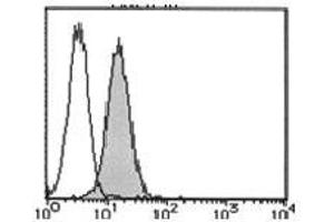 Flow Cytometry (FACS) image for anti-Bone Marrow Stromal Cell Antigen 1 (BST1) antibody (FITC) (ABIN1105912) (BST1 Antikörper  (FITC))