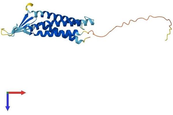 Claudin 6 Protein (CLDN6) (AA 1-220) (His tag)