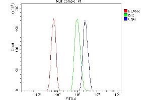 Flow Cytometry analysis of HL-60 cells using anti-UNG antibody (ABIN7602695). (UNG Antikörper  (AA 96-313))