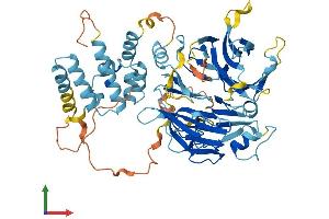Protein Structure (PS) image for F-Box Protein 24 (FBXO24) (AA 1-589) protein (His tag) (ABIN7560969)