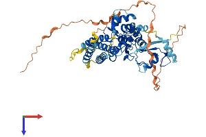CBLC Protein (AA 1-496) (His tag)
