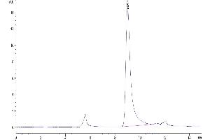 Size-exclusion chromatography-High Pressure Liquid Chromatography (SEC-HPLC) image for Tumor Necrosis Factor (Ligand) Superfamily, Member 13 (TNFSF13) (AA 112-250), (Trimer) protein (His-Avi-DYKDDDDK Tag) (ABIN7273872)