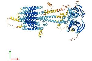 Protein Structure (PS) image for Adenylate Cyclase 2 (Brain) (ADCY2) (AA 1-1091) protein (His tag) (ABIN7552005)