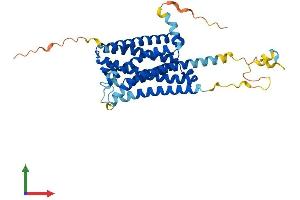 Protein Structure (PS) image for G Protein-Coupled Receptor 173 (GPR173) (AA 1-373) protein (His tag) (ABIN7548155)