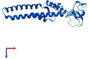 GINS1 Protein (AA 1-196) (His tag)