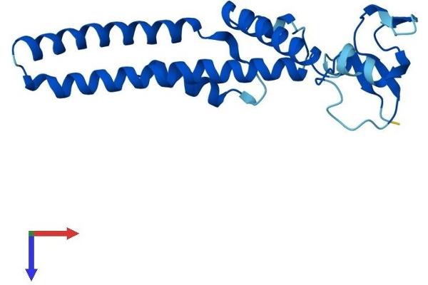 GINS1 Protein (AA 1-196) (His tag)