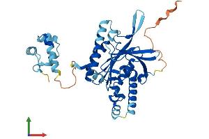 Protein Structure (PS) image for DNA Repair Protein RAD51 Homolog 3 (RAD51C) (AA 1-366) protein (His tag) (ABIN7564862)