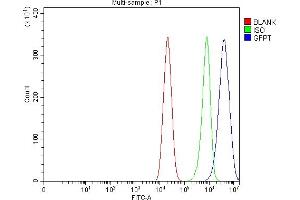 Flow Cytometry analysis of Caco-2 cells using anti-GFPT1 antibody (ABIN7602887). (GFPT1 Antikörper  (C-Term))