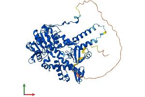 Protein Structure (PS) image for 5'-Nucleotidase, Cytosolic II (NT5C2) (AA 1-560) protein (His tag) (ABIN7557347)