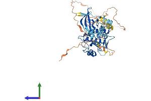 AlphaFold protein structure predicition of Human Recombinant CAMKK1 Protein, UniprotID Q8N5S9