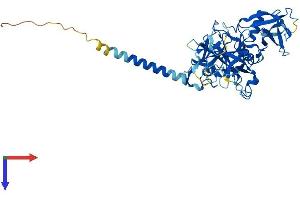 TMPRSS4 Protein (AA 1-437) (His tag)