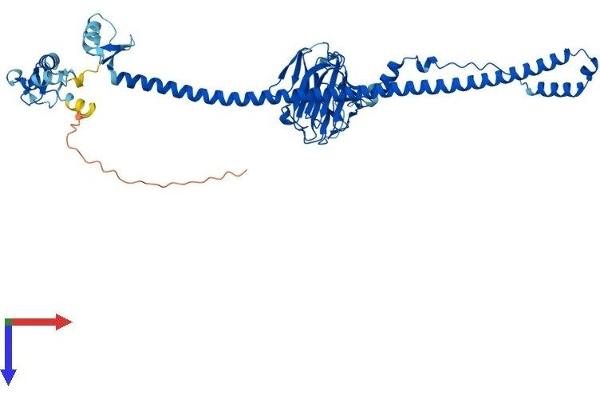 TRIM69 Protein (AA 1-500) (His tag)
