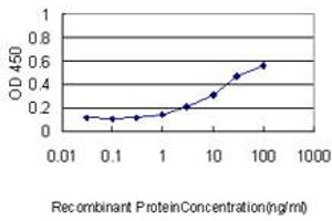 Detection limit for recombinant GST tagged YBX1 is approximately 0. (YBX1 Antikörper  (AA 51-139))