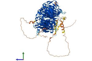 Protein Structure (PS) image for Lethal Giant Larvae Homolog 2 (LLGL2) (AA 1-1020) protein (His tag) (ABIN7554337)