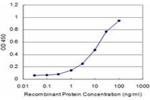 Detection limit for recombinant GST tagged PROX1 is approximately 1ng/ml as a capture antibody. (PROX1 Antikörper  (AA 638-737))