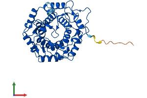 Protein Structure (PS) image for Rab Geranylgeranyltransferase, beta Subunit (RABGGTB) (AA 1-339) protein (His tag) (ABIN7563434)