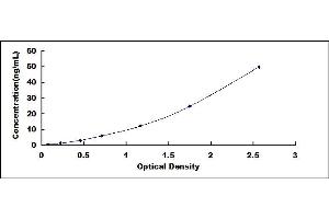 Typical standard curve (alpha Fetoprotein ELISA Kit)