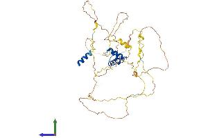 Protein Structure (PS) image for Ligand Dependent Nuclear Receptor Corepressor (Lcor) (AA 1-433) protein (His tag) (ABIN7548918)