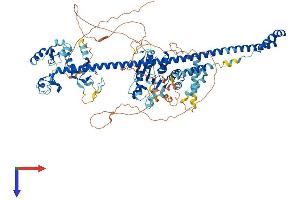 PML Protein (AA 1-885) (His tag)